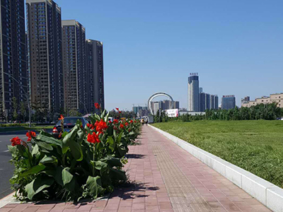 沈阳荷兰砖